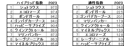 2023　サウジアラビアＲＣ　ＨＢ指数